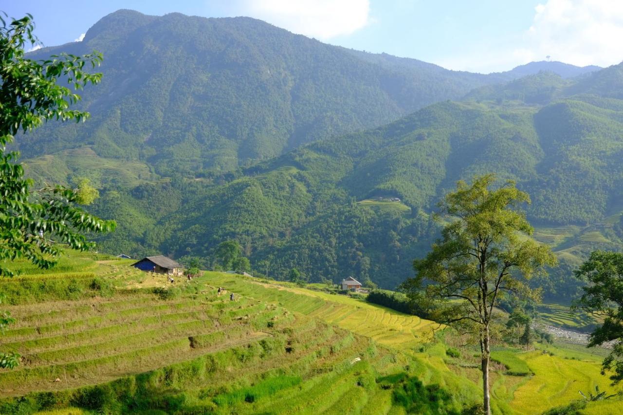 Sapa Hmong Bungalow Homestay Buitenkant foto